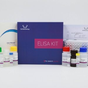 Mouse SREBP2(Sterol Regulatory Element-binding Protein 2) ELISA Kit