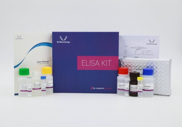 Mouse SREBP2(Sterol Regulatory Element-binding Protein 2) ELISA Kit